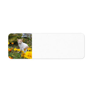 Etiqueta Gengibre