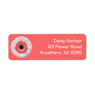 Etiqueta Gerber Daisy Bi-Color