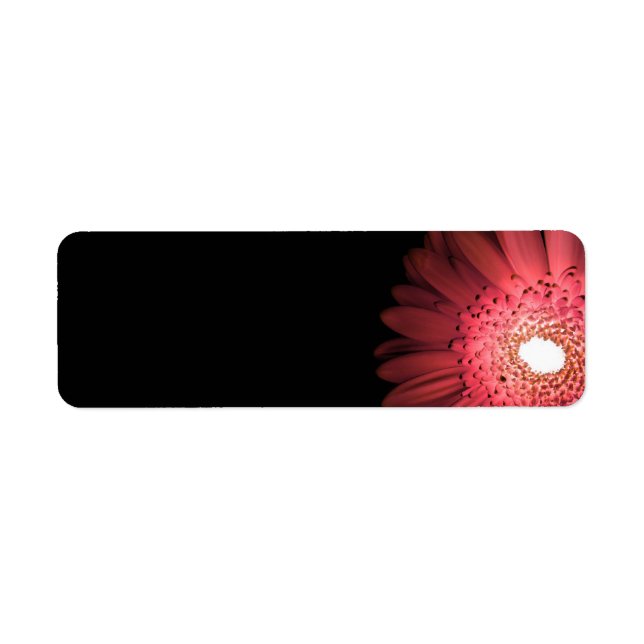 Etiqueta Gerbera (Frente)