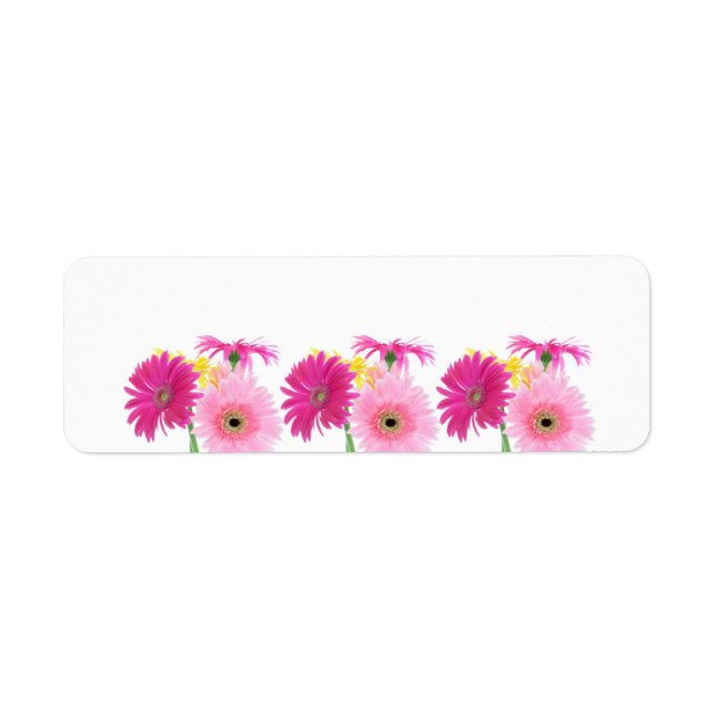 Etiqueta Gerbera Daisy Piink Flowers (Frente)