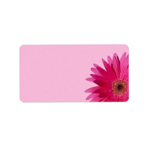Etiqueta Gerbera Daisy Pink Vazio de Casamento Pink