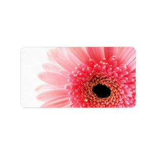 Etiqueta Gerbera Daisy Poster