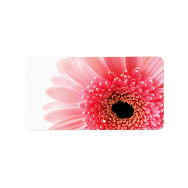Etiqueta Gerbera Daisy Poster (Frente)