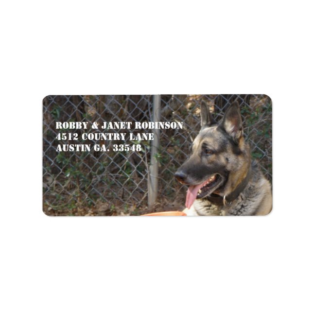 Etiqueta German shepherd Address Stickers (Frente)