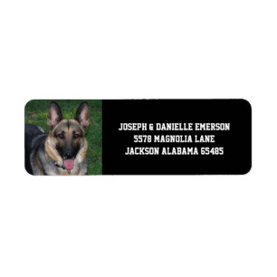Etiqueta German Shepherd Dog Address Labels
