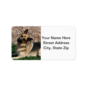 Etiqueta German shepherd Quizzical