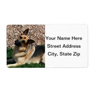 Etiqueta German shepherd Quizzical
