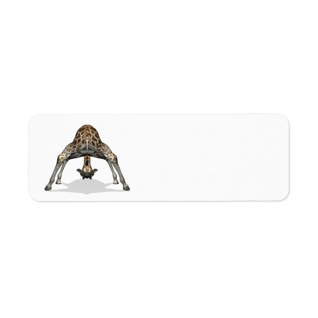 Etiqueta Girafa flexível (Frente)