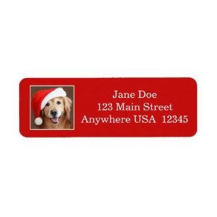 Etiqueta Golden retriever com chapéu do papai noel