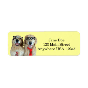 Etiqueta Golden retriever com vidros do nerd