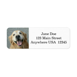 Etiqueta Golden retriever de sorriso