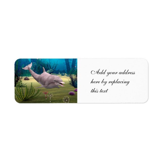 Etiqueta Golfinho sorridente (Frente)