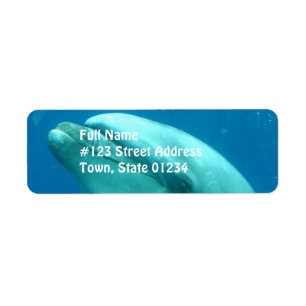 Etiqueta Golfinho subaquático