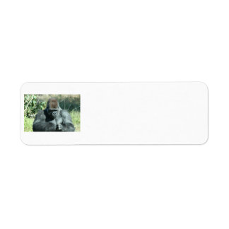 Etiqueta Gorilla Labels