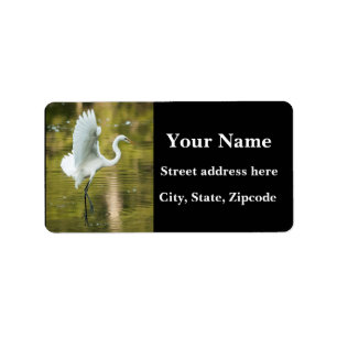 Etiqueta Grande Egret branco