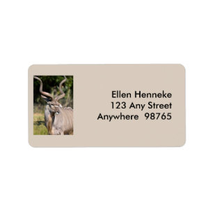Etiqueta Grande Kudu
