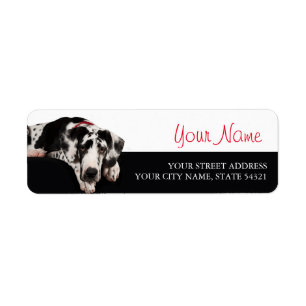 Etiqueta Great Dane