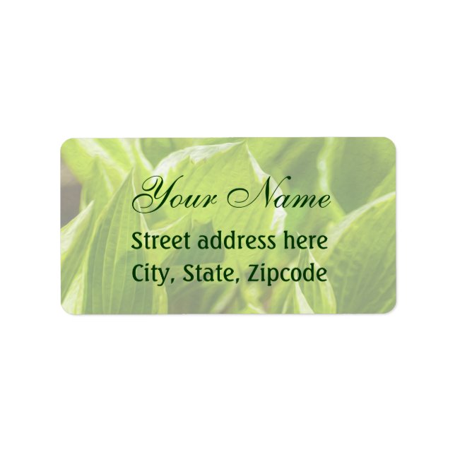 Etiqueta Green Hosta Folaves (Frente)