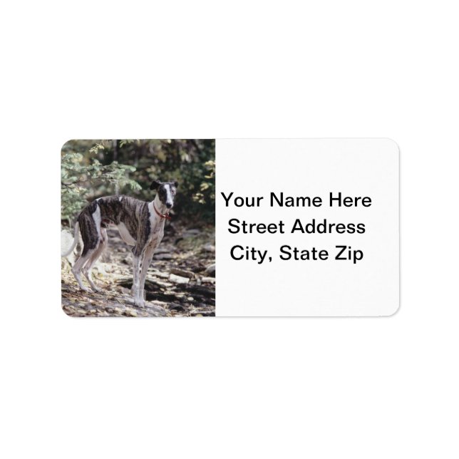 Etiqueta Greyhound (Frente)