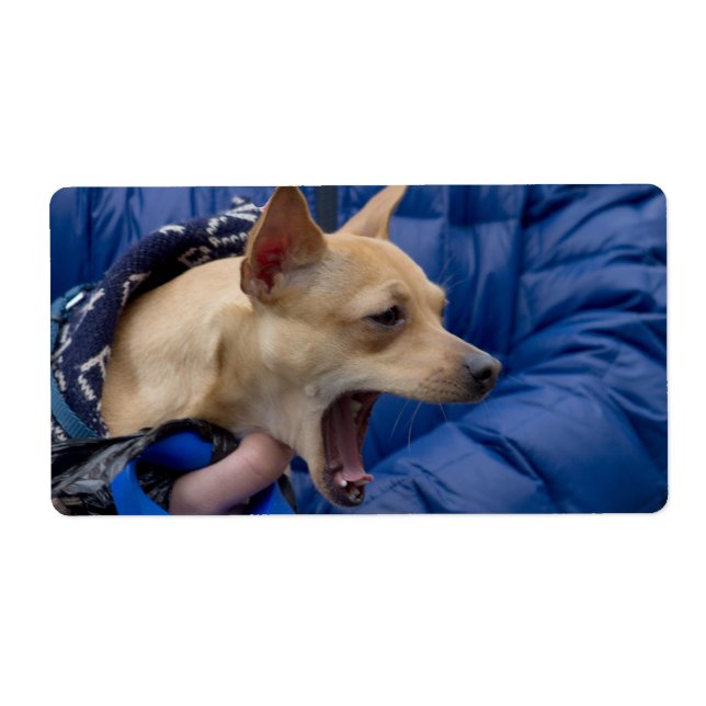 Etiqueta Gritando Chihuahua (Frente)