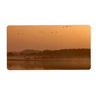 Etiqueta Gruas ao nascer do sol