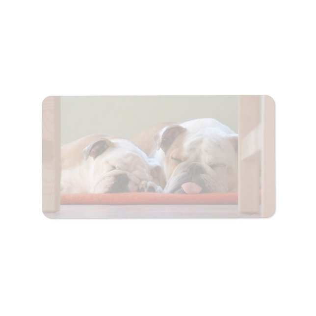 Etiqueta Grupo Bulldog Dormindo (Frente)