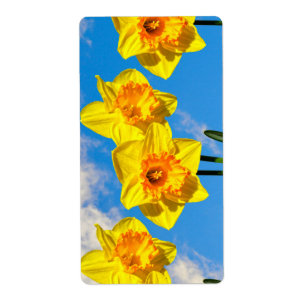 Etiqueta Grupo de Daffodils Dourados Flores Medalhadas