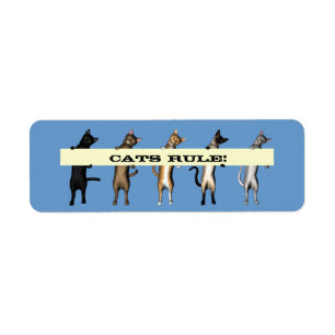 Etiqueta Grupo do gato com bandeira