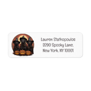 Etiqueta Halloween Labrador Retriever Cachorros Bruxos