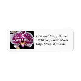 Etiqueta Harlequin Moth Orchid Floral Return Address