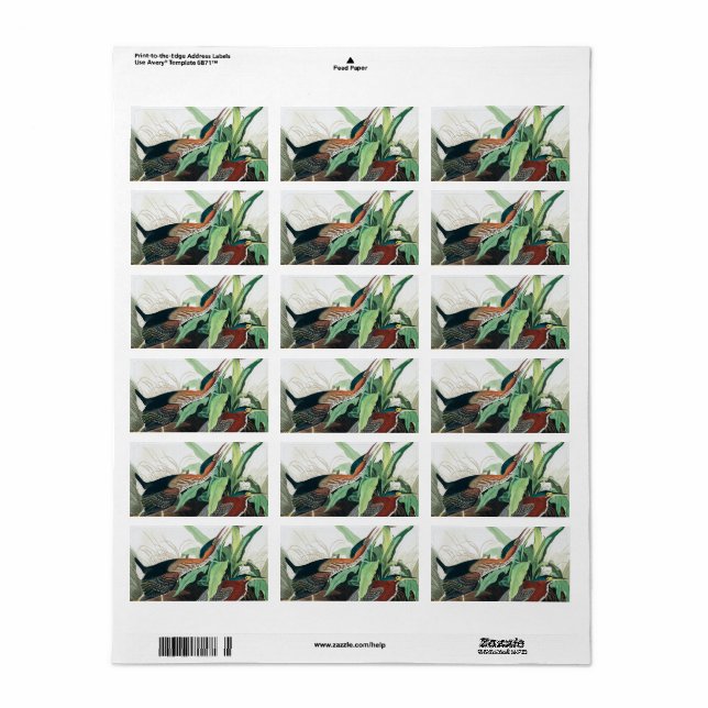 Etiqueta Herão Verde por John James Audubon (Toda a folha)