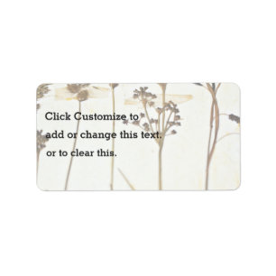 Etiqueta Herbário Em Branco