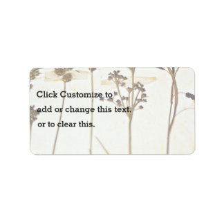 Etiqueta Herbário Em Branco