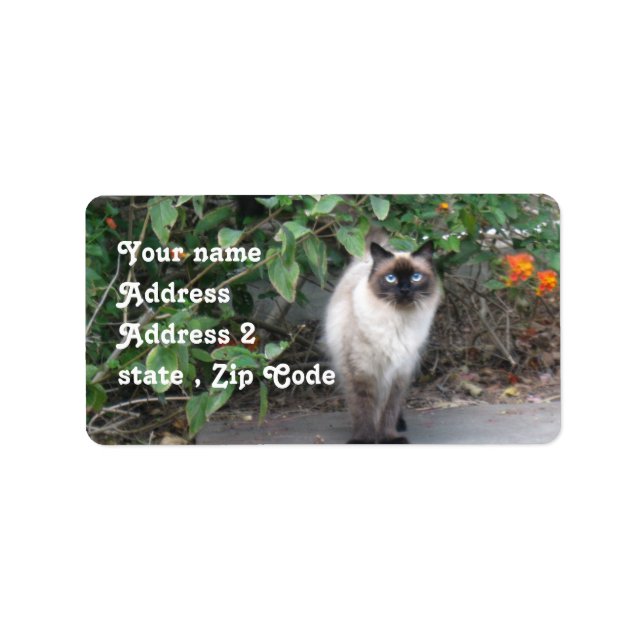 Etiqueta Himalaia Mix cat (Frente)