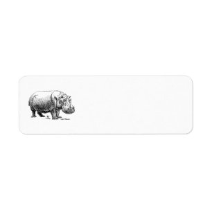 Etiqueta Hippopotamus