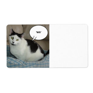 Etiqueta Holla, levante o telhado!