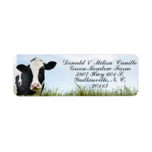 Etiqueta  Holstein