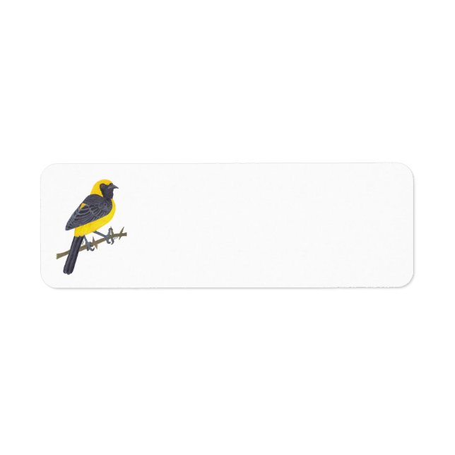 ETIQUETA HOODED ORIOLE  (Frente)