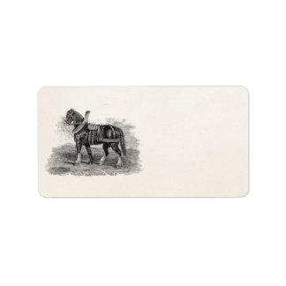 Etiqueta Horse de Ilustração da Agricultura de Cavalo da Vi
