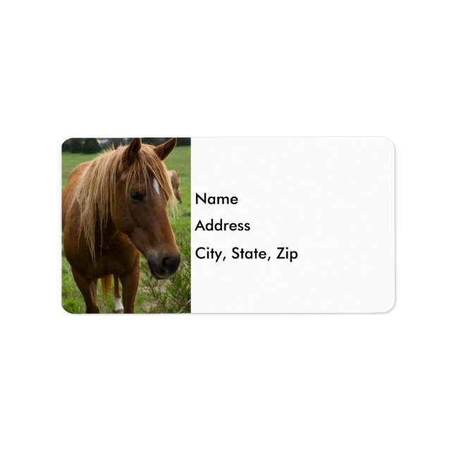 Etiqueta Horse Hello (Frente)
