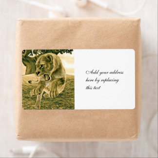 Etiqueta Hunting Lioness