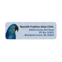 Hyacinth Macaw Avian Business Blue Return Endereço