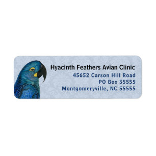 Etiqueta Hyacinth Macaw Avian Business Blue Return Endereço