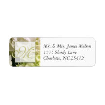 Hydrangea White Green Wedding Suite
