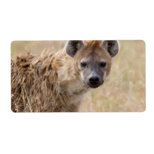 Etiqueta Hyena