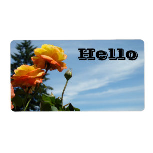 Etiqueta IDENTIFICAÇÕES de nome HELLO Convidados Visitantes