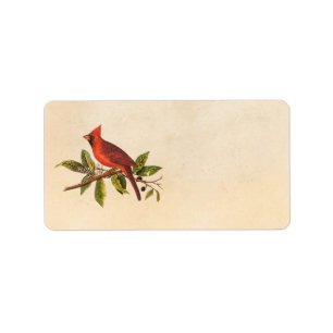 Etiqueta Ilustração cardinal do pássaro da canção do