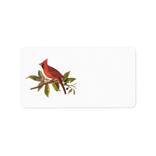 Etiqueta Ilustração das aves cardinais Vintage - década de  (Frente)