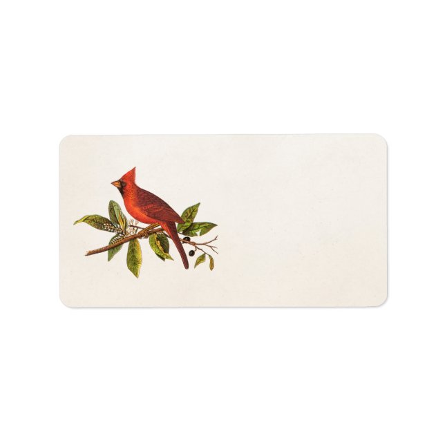 Etiqueta Ilustração das aves cardinais Vintage - década de  (Frente)