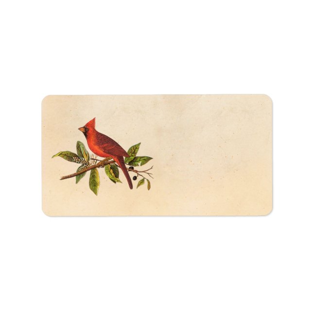 Etiqueta Ilustração das aves cardinais Vintage - década de  (Frente)